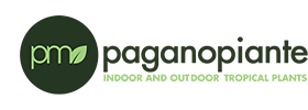 Pagano Piante Logo