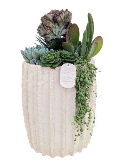 COMPOSIZIONE CON PIANTE GRASSE IN VASO ARTIGIANALE DAFNE L. 22 CM P. 16 CM H. 41 CM