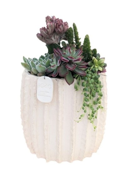 COMPOSIZIONE CON PIANTE GRASSE IN VASO ARTIGIANALE DAFNE L. 22 CM P. 16 CM H. 35 CM