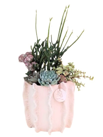 COMPOSIZIONE CON PIANTE GRASSE IN PENELOPE ALTO L. 21 CM P. 13 CM H. 40 CM