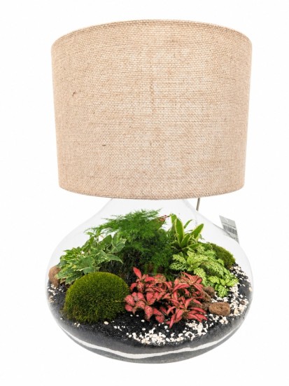 LAMPARIUM 086 CON PIANTE VERDI H.45 CM