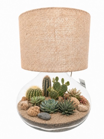 LAMPARIUM 086 CON PIANTE GRASSE H. 45 CM